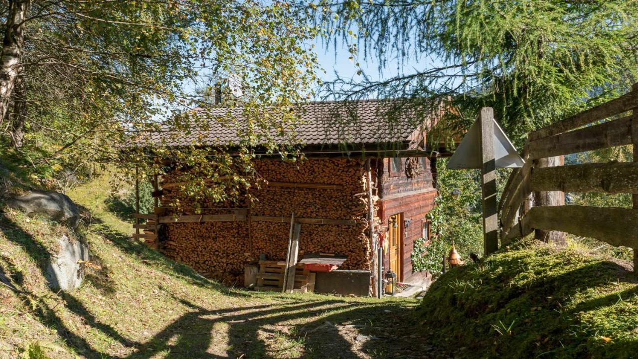 Pension Riese Neustift im Stubaital Εξωτερικό φωτογραφία