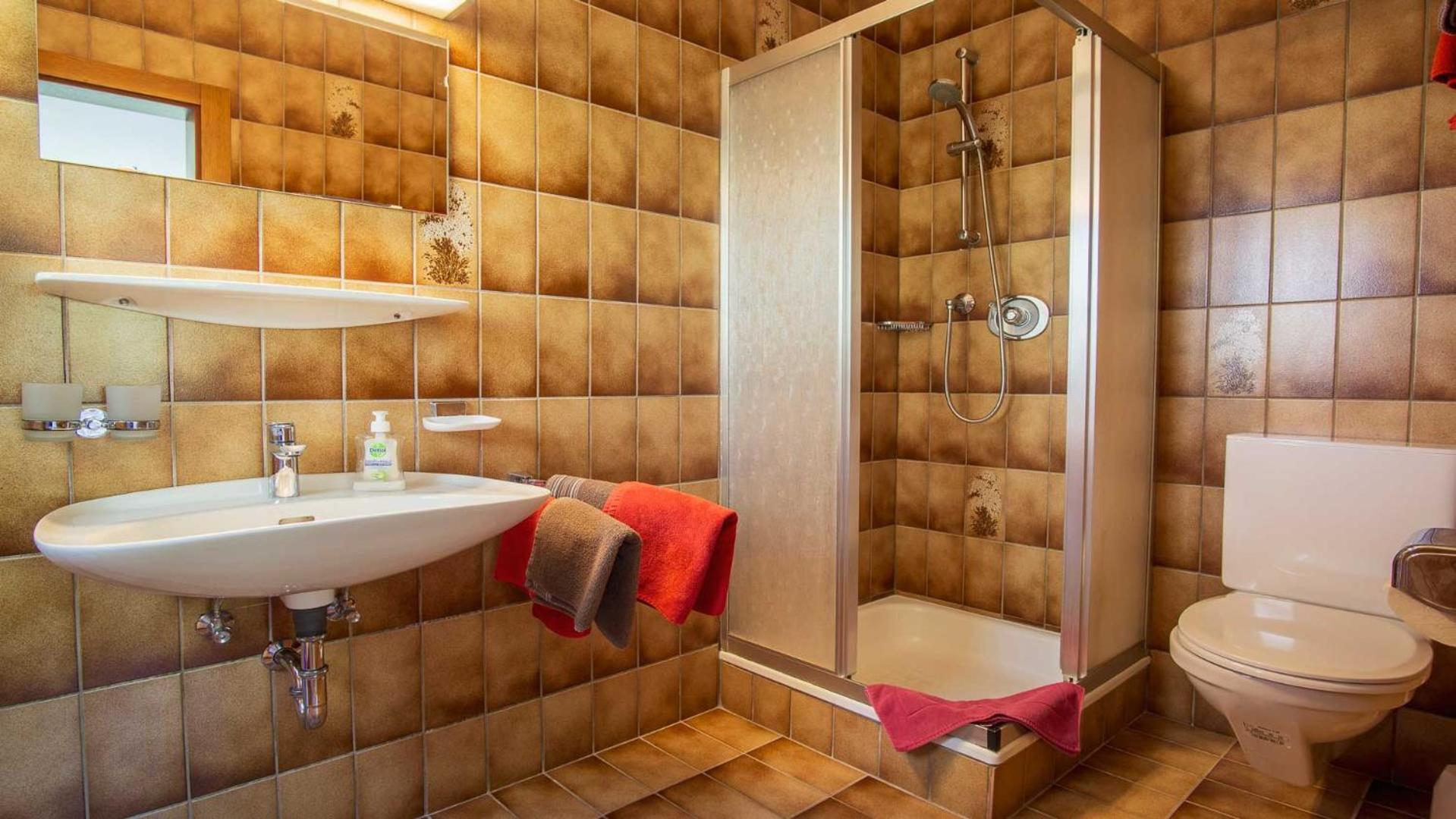 Pension Riese Neustift im Stubaital Εξωτερικό φωτογραφία