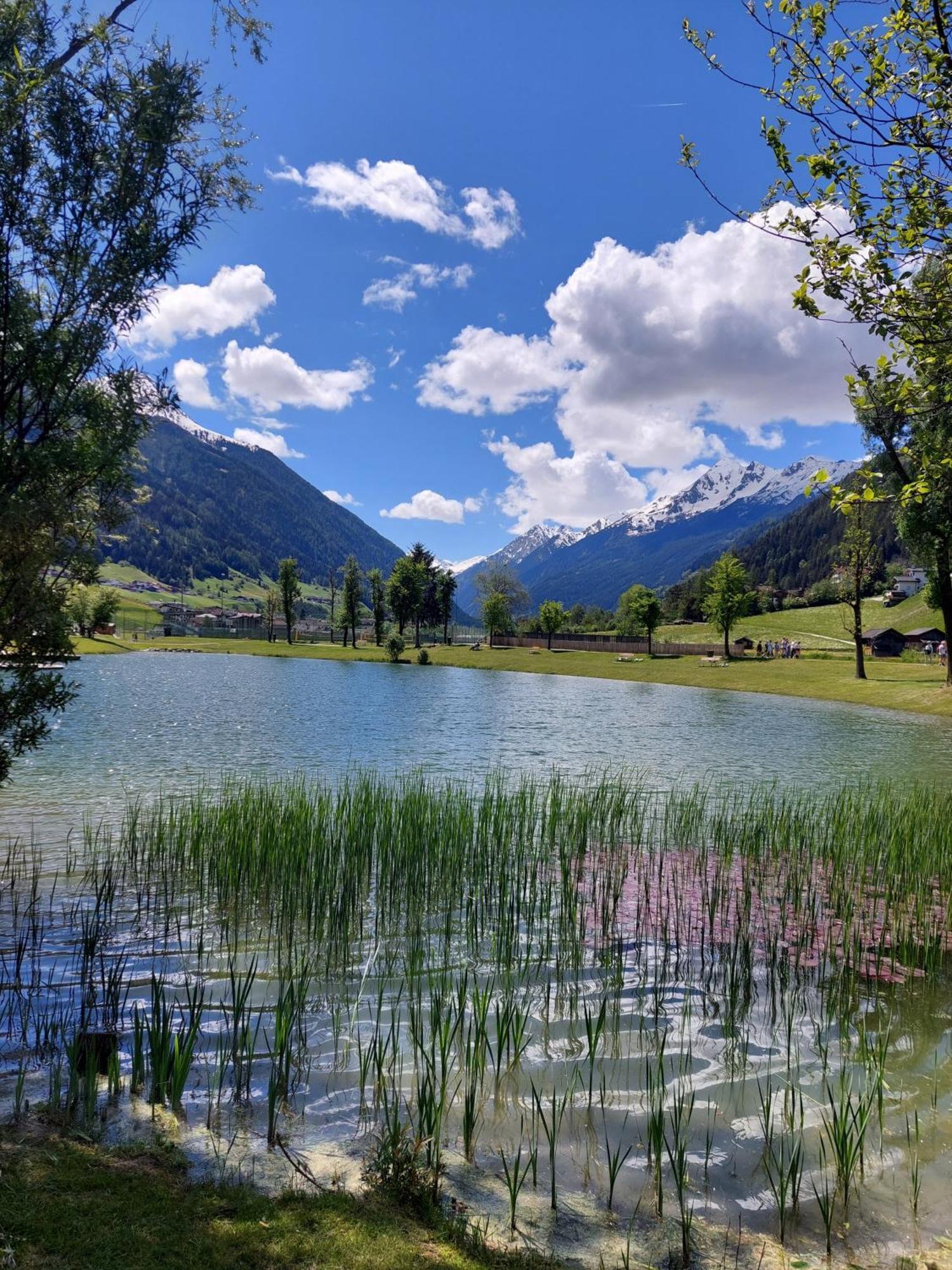 Pension Riese Neustift im Stubaital Εξωτερικό φωτογραφία
