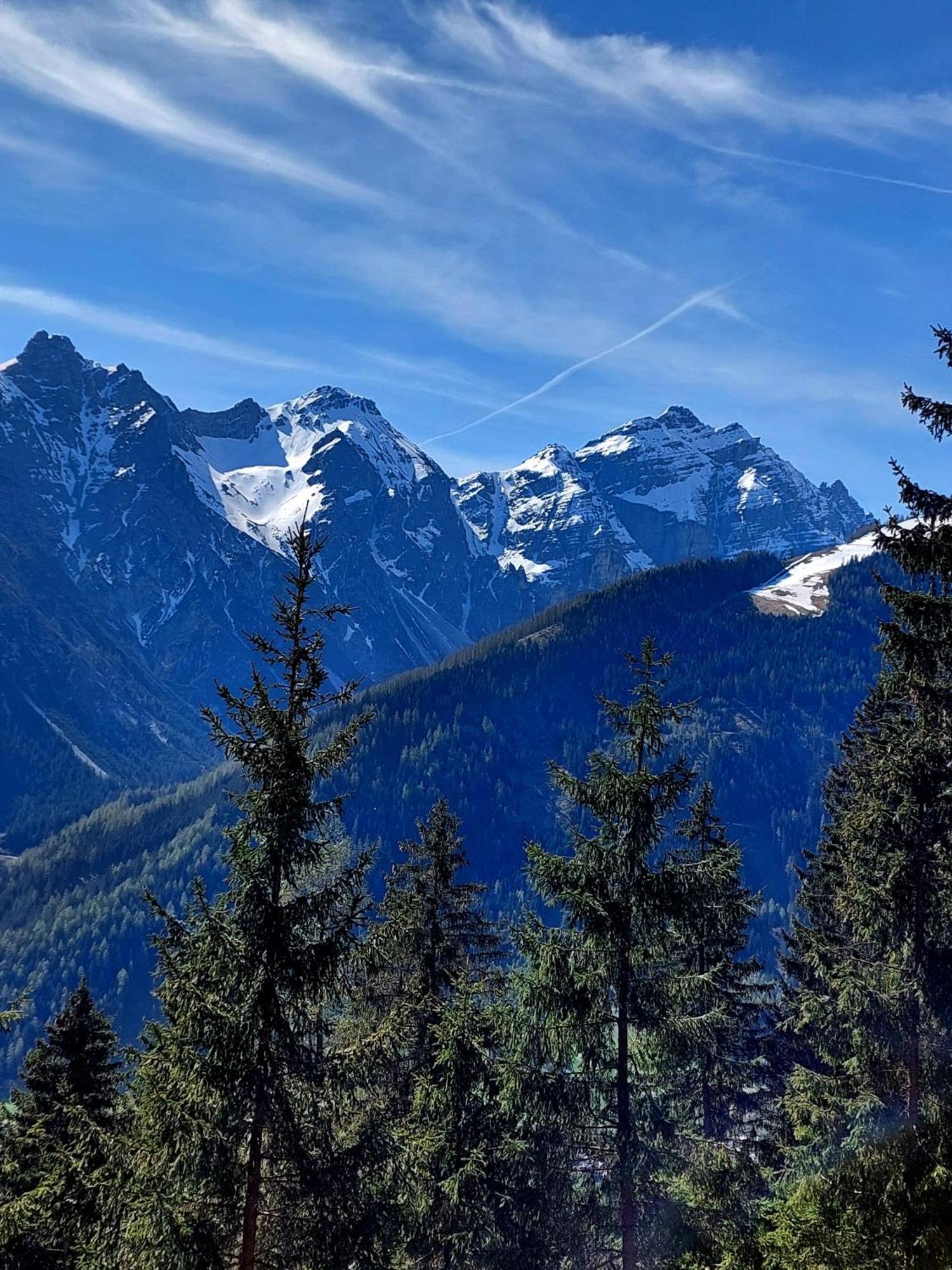 Pension Riese Neustift im Stubaital Εξωτερικό φωτογραφία