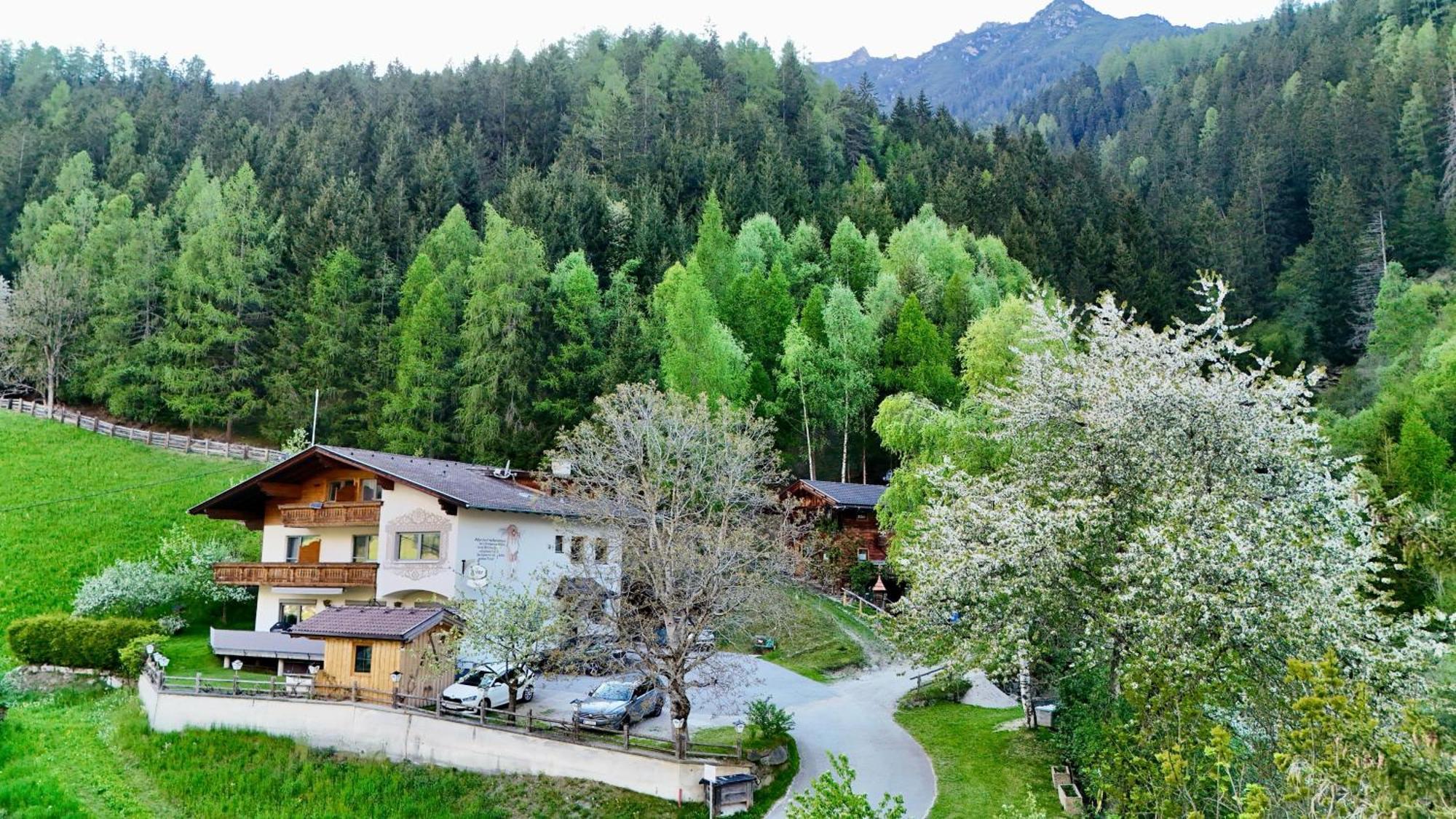 Pension Riese Neustift im Stubaital Εξωτερικό φωτογραφία